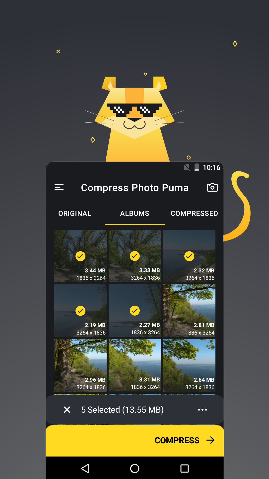 Compress Photo Puma - Main screen